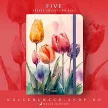 Five - Secret Journal